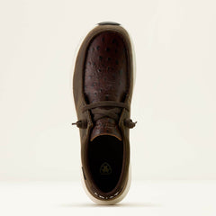 Buckeye Waterproof Shoe - Men