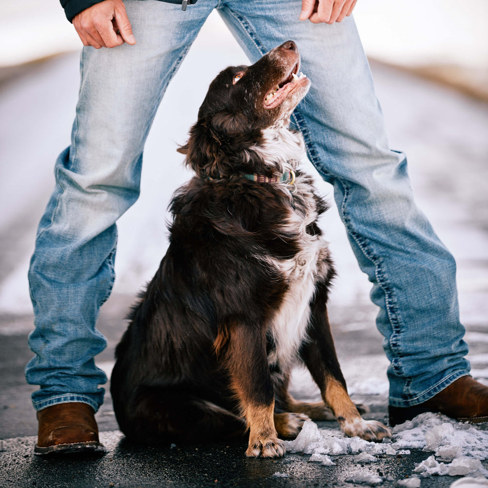 M2 Relaxed Stirling Stretch Boot Cut Jean - Men|Trends