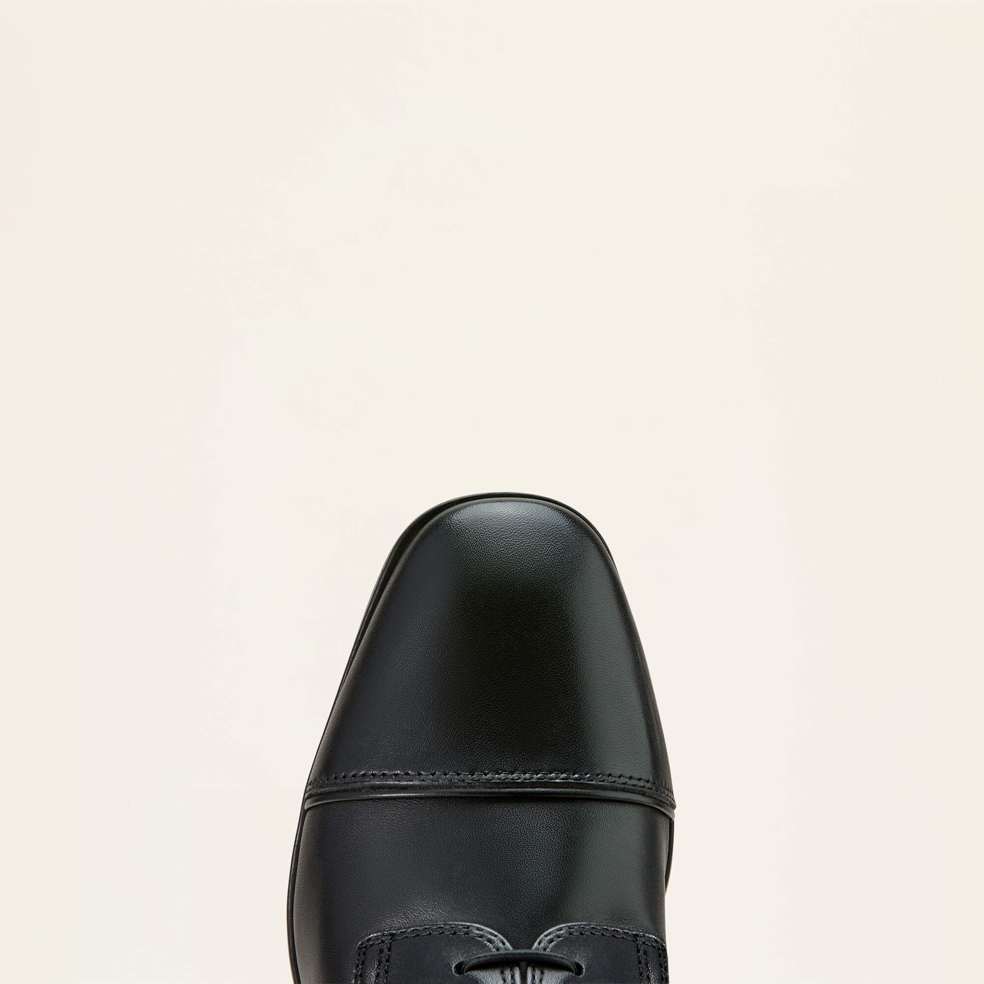 Palisade Lace Tall Riding Boot - Women