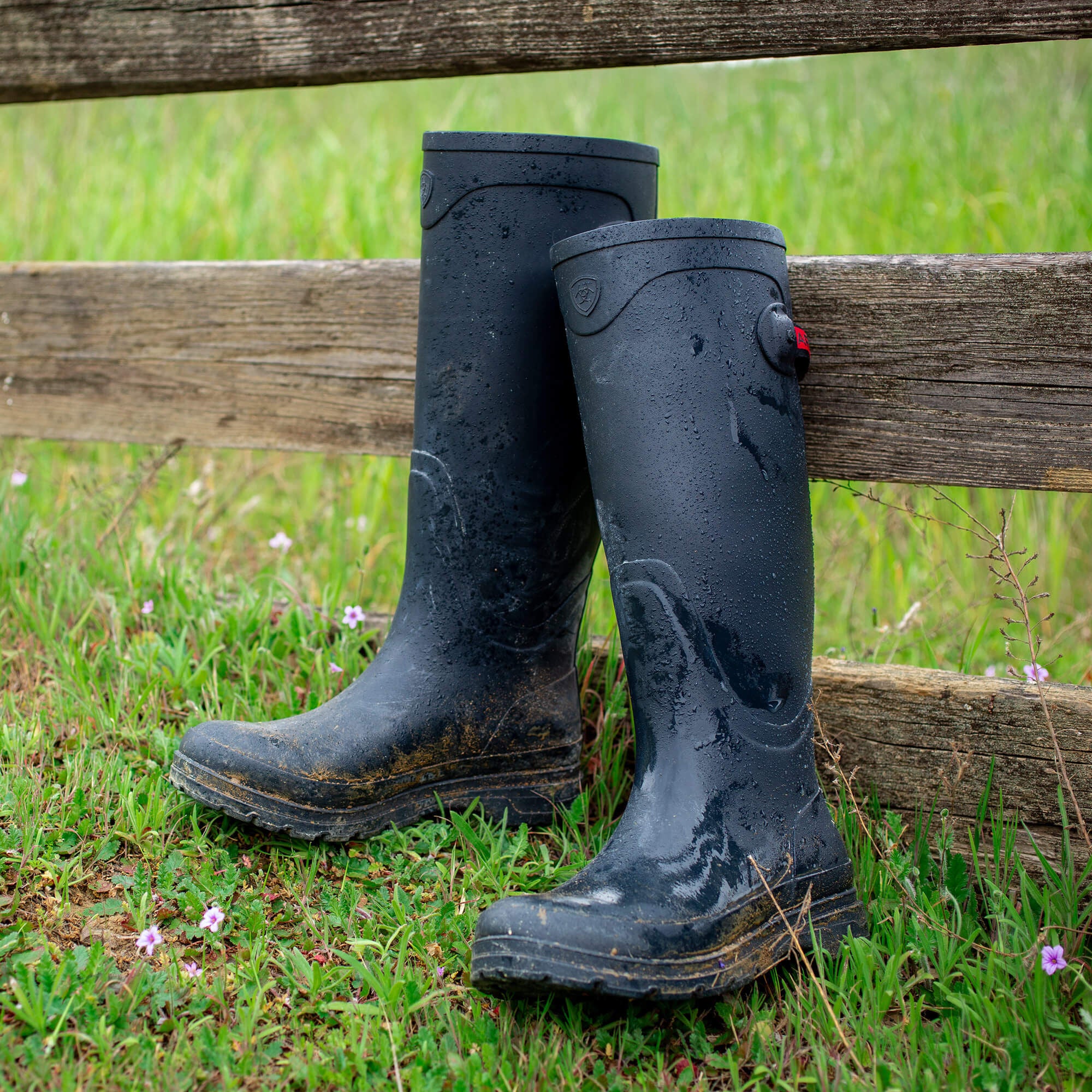 Kelmarsh Rubber Boot - Women|Trends